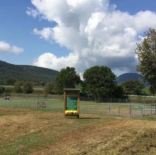 Dog Park in West Rutland