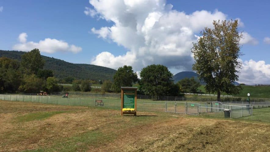 Dog Park in West Rutland