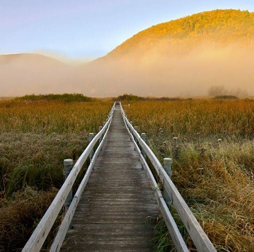 Marsh Walk in West Rutland