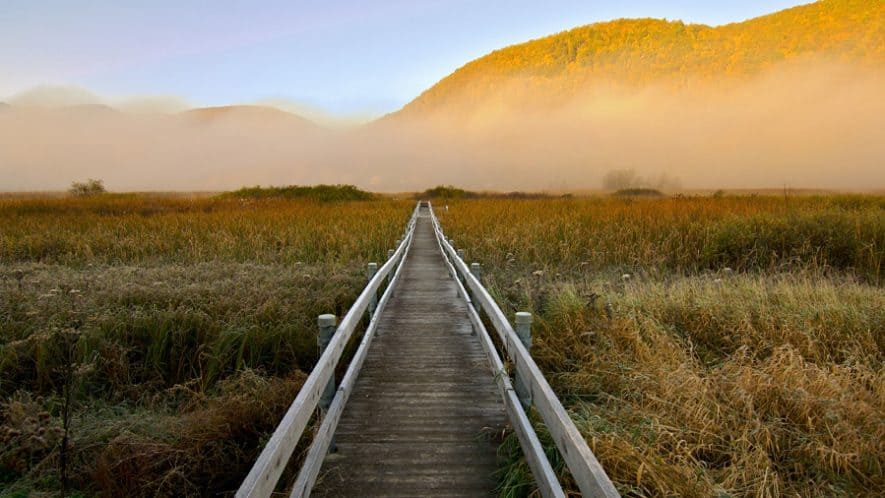 Marsh Walk in West Rutland