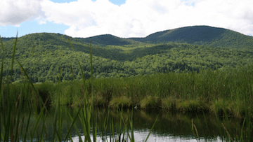 West rutland Mountains